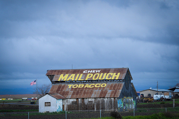 Mailpouch Tobacco