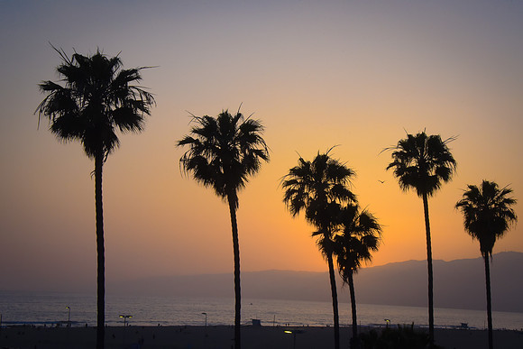 Santa Monica Sunset 2