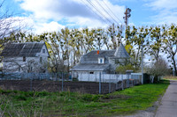House and Misteltoe Trees