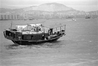 Hong Kong Junk