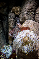 In the Deep