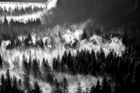 Yosemite Valley Fog