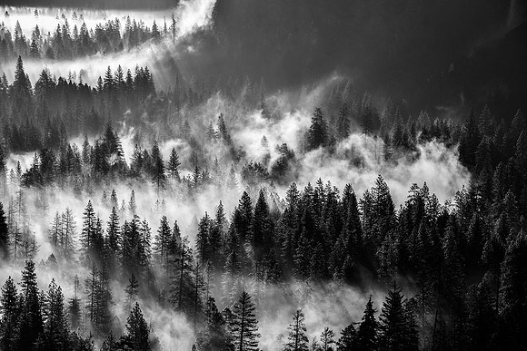 Yosemite Valley Fog