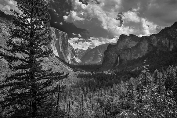 Yosemite Valley B&W 2
