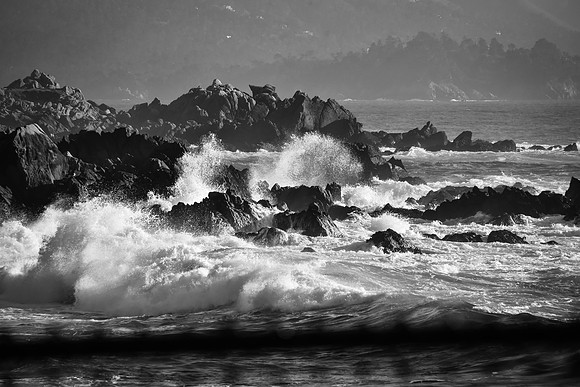 Wave Action
