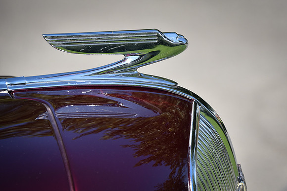 Chevy Wings