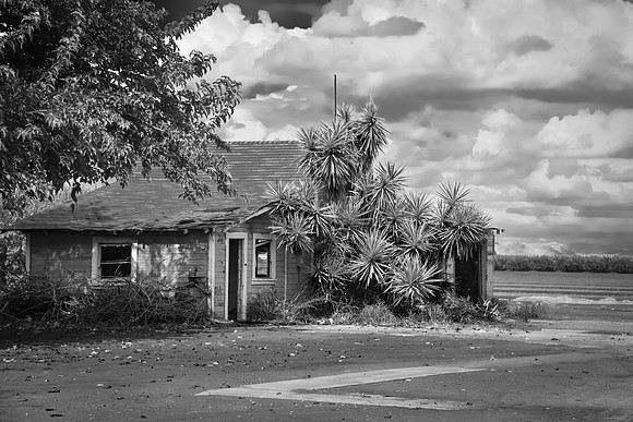 Yucca house