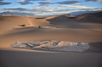The Dunes