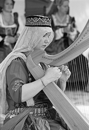 Renaissance Harp Player