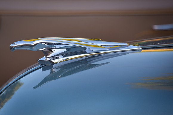 Beauty In Flight