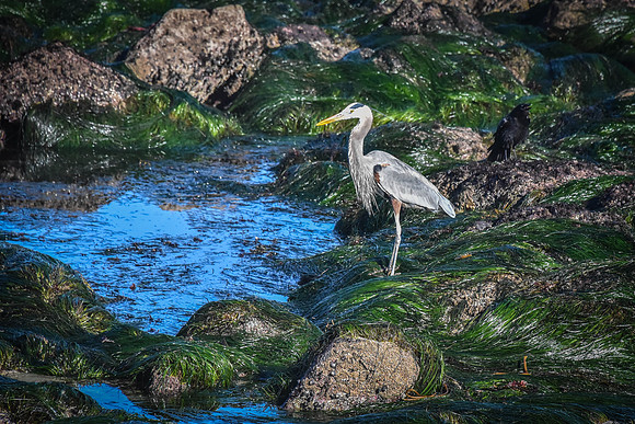 At the Shoreline