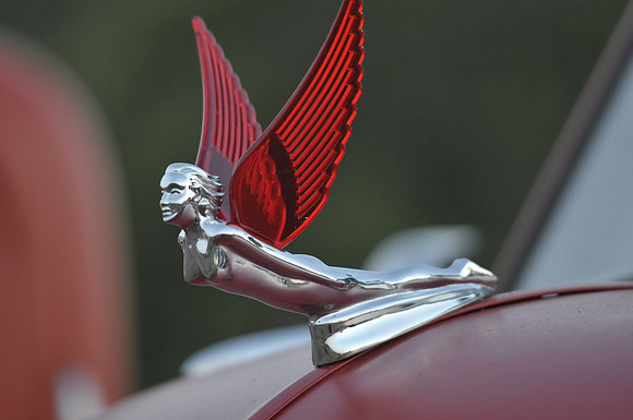 Red Wings