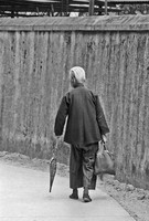In the Alley