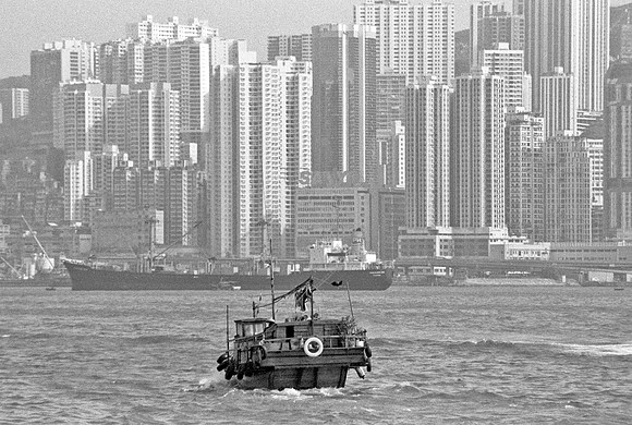 Hong Kong Harbor Junk