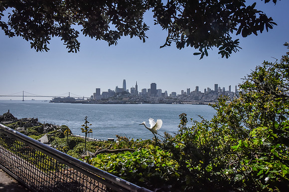 San Francisco from Alcatraz_
