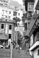 Cat Street