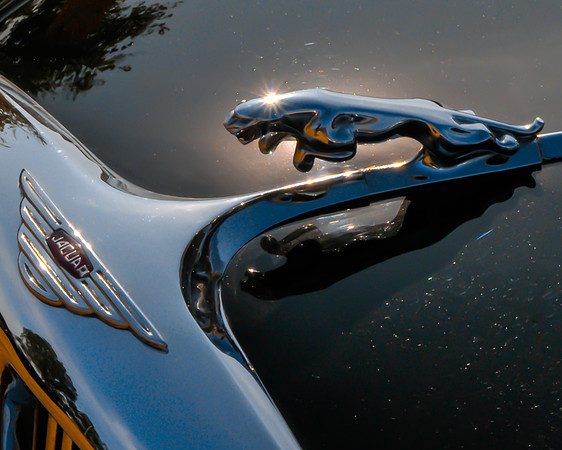 Jaguar