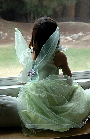 Window Fairy