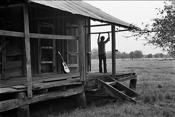 The Musician