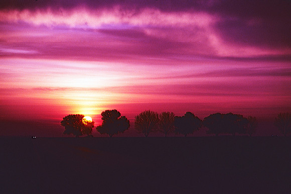 Red Sky in the Morning