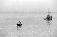 Hong Kong Boats