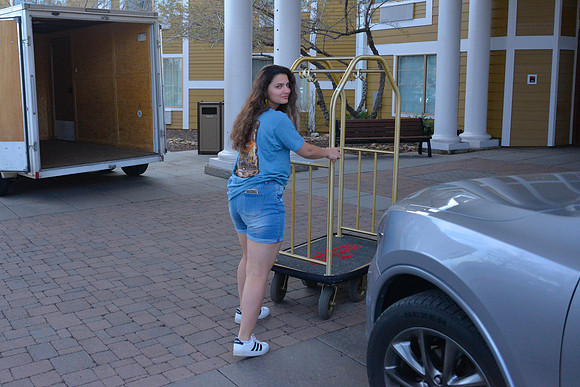 Rafiga and the Luggage Cart